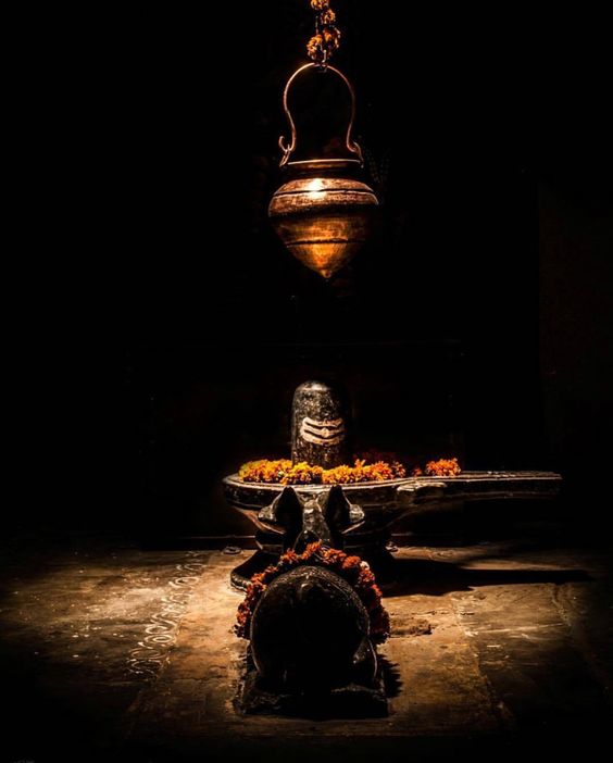 Correct method to perform Mahashivaratri Vrata. How to celebrate Mahashivaratri?