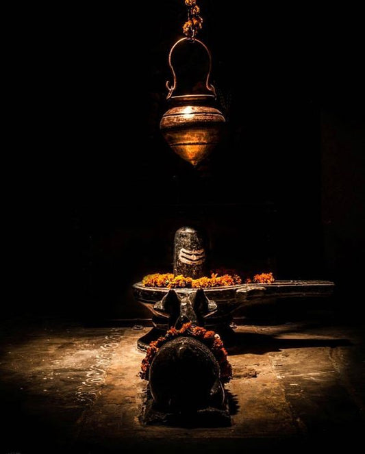 Correct method to perform Mahashivaratri Vrata. How to celebrate Mahashivaratri?